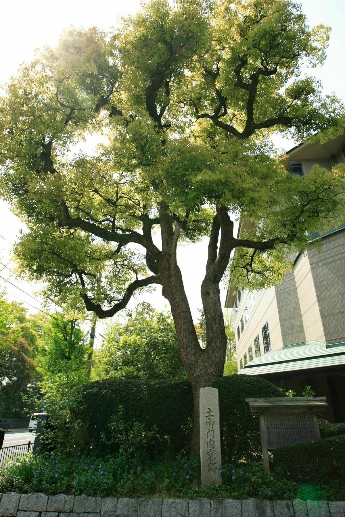 Kyoto Garden Palace Buitenkant foto